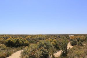 Tozer's Bush Camp